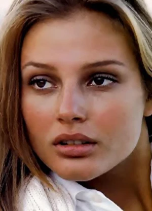 布里姬特·豪尔