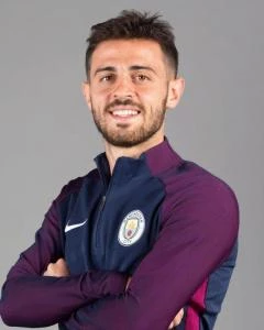 伯纳多·席尔瓦