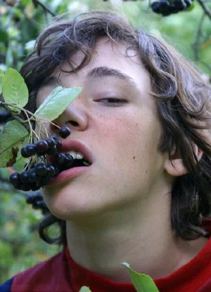 安瓦尔·哈里路拉耶夫