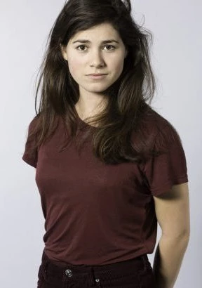 汉纳·范·弗利特