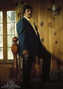 艾尔·勒提埃里