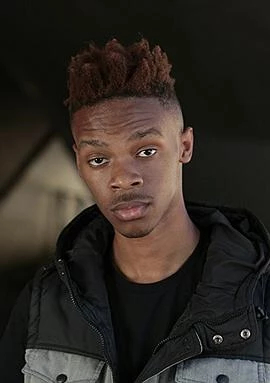 迈尔斯·安德森