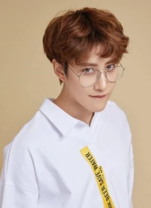 披拉·尼迪裴善官