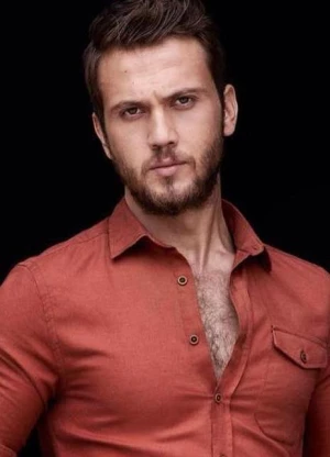 阿拉斯·布鲁特·伊涅姆利