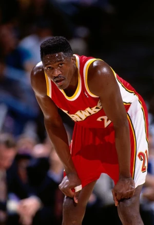 多米尼克·威尔金斯