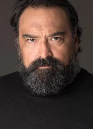 丹·布拉德福特