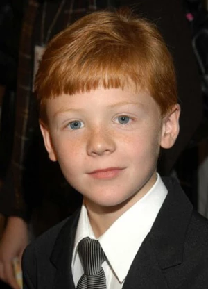 弗里斯特·兰蒂斯