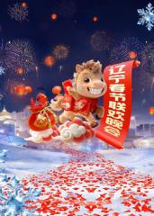 辽宁春节联欢晚会2026